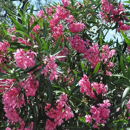 빌라 In France Near Scenic Landmarks Estang