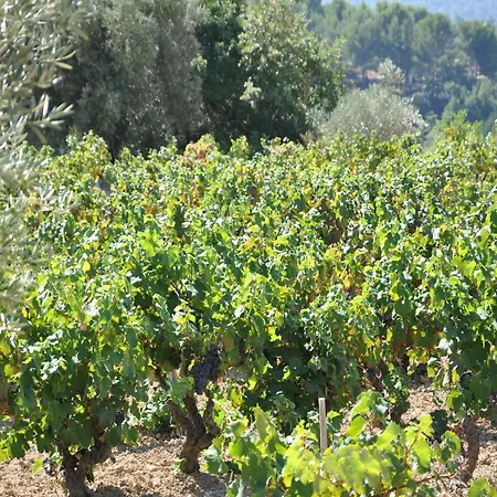 In France Near Scenic Landmarks Estang